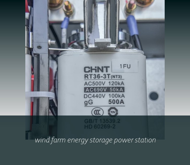 wind farm energy storage power station