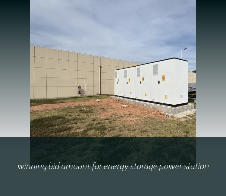 winning bid amount for energy storage power station