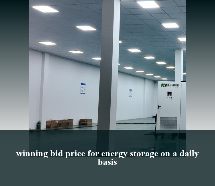 winning bid price for energy storage on a daily basis