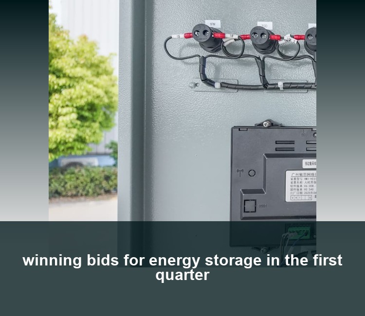 winning bids for energy storage in the first quarter