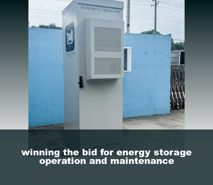 winning the bid for energy storage operation and maintenance