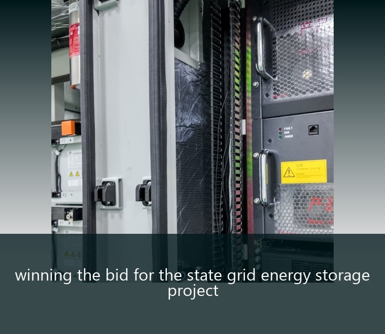 winning the bid for the state grid energy storage project