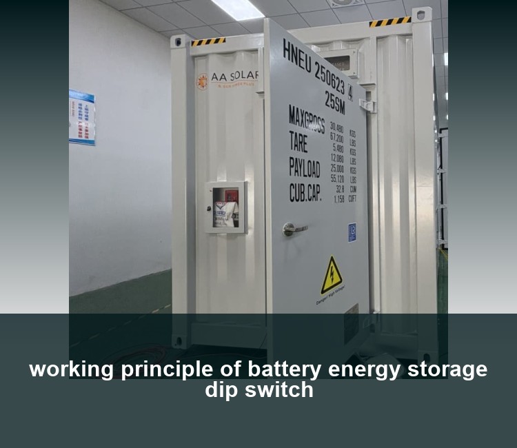 working principle of battery energy storage dip switch