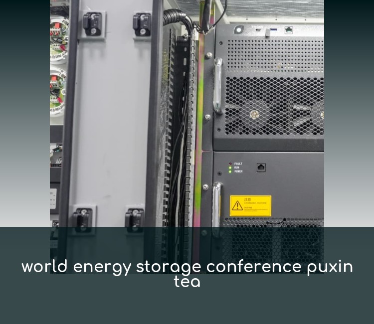 world energy storage conference puxin tea