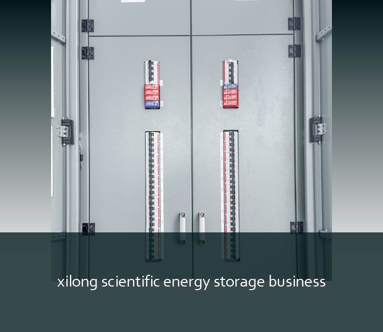 xilong scientific energy storage business