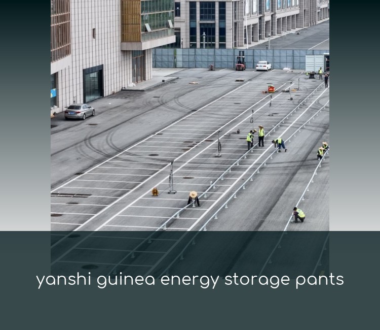 yanshi guinea energy storage pants