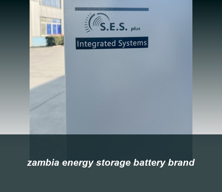 zambia energy storage battery brand