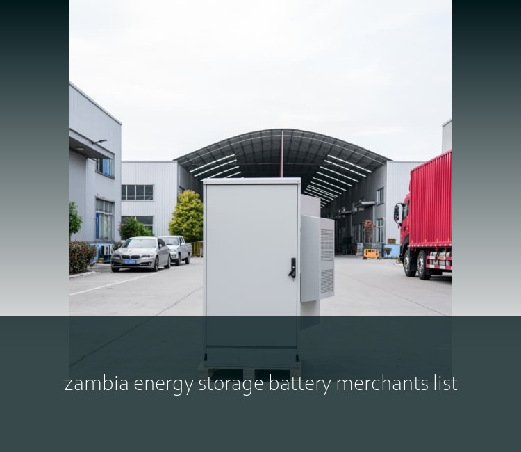 zambia energy storage battery merchants list