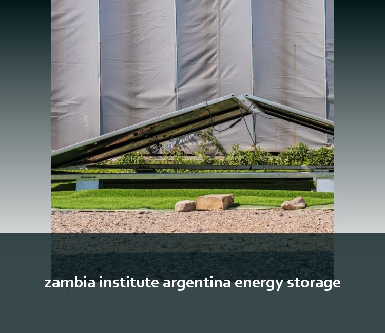 zambia institute argentina energy storage