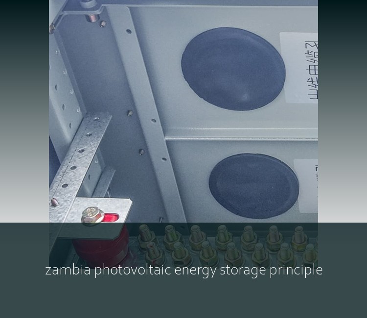 zambia photovoltaic energy storage principle