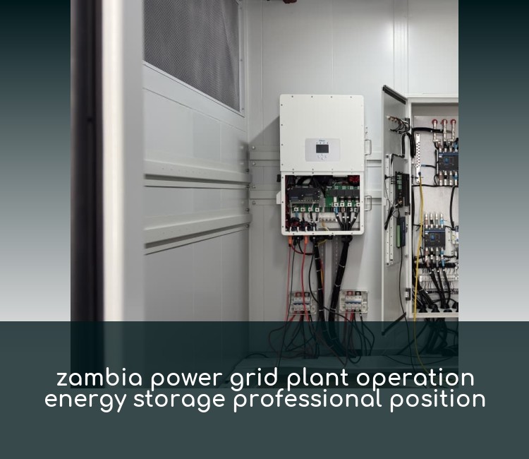 zambia power grid plant operation energy storage professional position