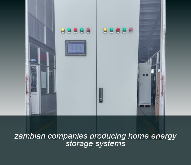 zambian companies producing home energy storage systems