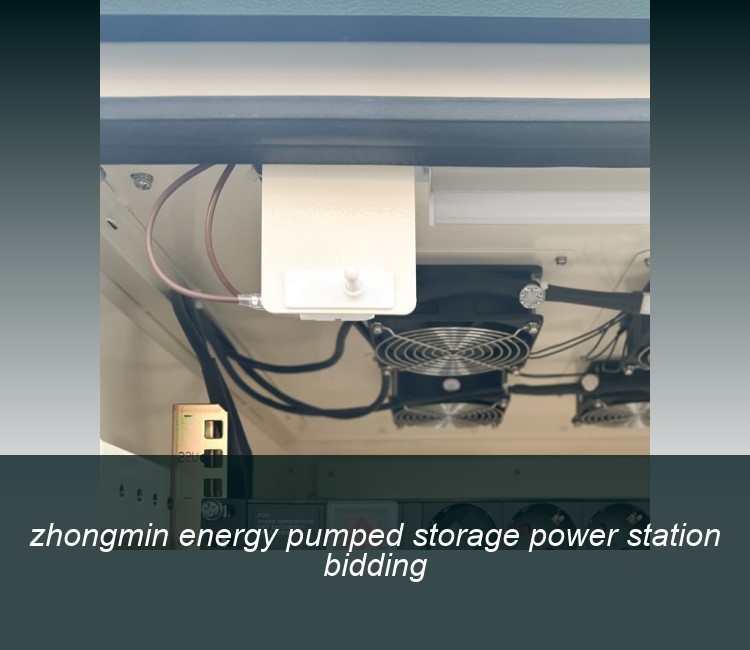 zhongmin energy pumped storage power station bidding